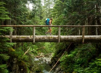 Los 10 mejores lugares para visitar en EE.UU. en el 2023-2024 » 2023