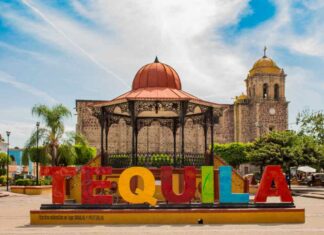 Jalisco tiene las 5 experiencias tequileras perfectas para disfrutar en tu próximo viaje » 2023