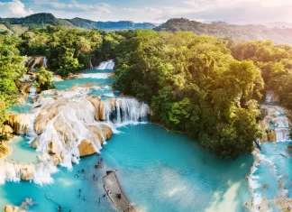 ¿Dónde se encuentra el pulmón natural más grande del mundo? » 2023