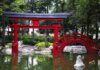¿Visitar Japón en la CDMX? El espectacular jardín japonés más grande de México » 2023