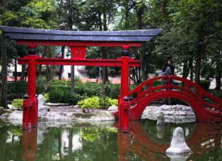 ¿Visitar Japón en la CDMX? El espectacular jardín japonés más grande de México » 2023