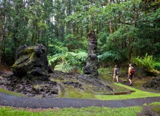 El único bosque de árboles de lava del mundo y todo lo que debes saber antes de visitarlo »