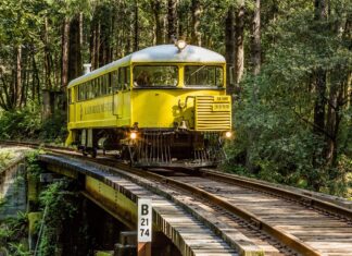 Descubre el bar secreto en el bosque de secuoyas al que solo puedes llegar en un tren antiguo »