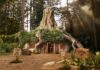 ¡Ya puedes reservar la casa de Shrek en Airbnb! »