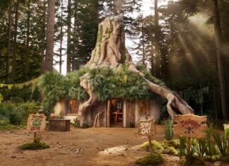¡Ya puedes reservar la casa de Shrek en Airbnb! »