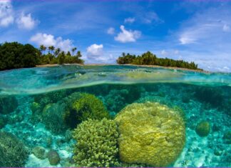 6 datos sobre las Islas Marshall que no sabías »