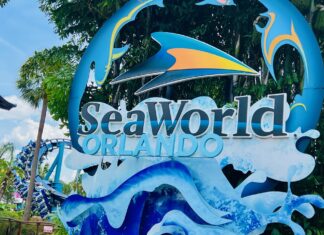 SeaWorld Orlando anuncia la montaña rusa familiar Penguin Trek para el 2024 »