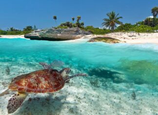 Así puedes disfrutar de un viaje de lujo a Yucatán, México »