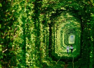 ¿El lugar más rómatico del mundo? »