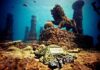 CONOCE EL ÚNICO CEMENTERIO SUBMARINO DEL MUNDO »