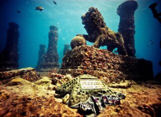 CONOCE EL ÚNICO CEMENTERIO SUBMARINO DEL MUNDO »