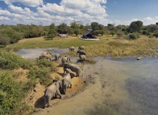 Conoce todo sobre el campamento de safari de lujo en el Parque Nacional Kafue de Zambia »
