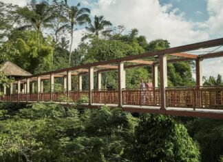 Top 5 Retiros de Año Nuevo para Empezar el Año con Energía Renovada »