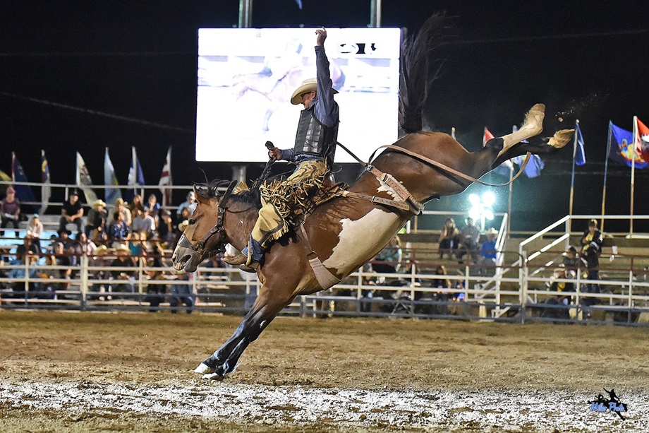 Los 7 mejores rodeos de Estados Unidos » - Autos y Viajes