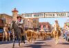 5 destinos para los amantes de los rodeos »