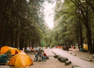 Los Mejores Lugares para Acampar en la Naturaleza en EE.UU. »