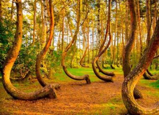 5 Lugares Misteriosos Que No Aparecen en los Mapas »