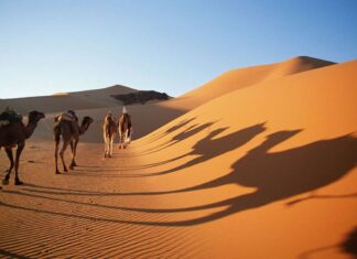 Los 5 Destinos de Aventura Más Peligrosos del Mundo »