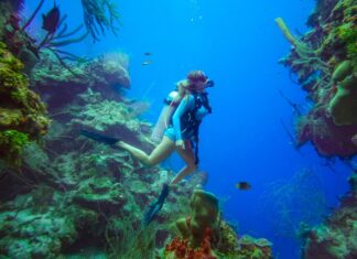 Los Mejores Destinos para el Buceo Extremo »