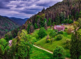Los Mejores Lugares para Explorar la Naturaleza Salvaje »