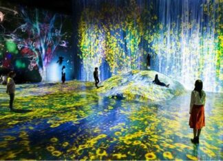 Los 5 Museos Más Innovadores del Mundo para Explorar en el 2025 »