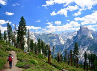 Los 6 Mejores Destinos de Estados Unidos para Amantes de la Naturaleza »