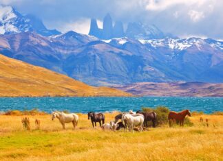 Los 5 Lugares Más Fascinantes para Acampar en Latinoamérica »