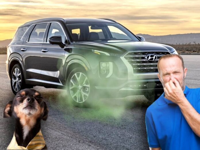 Hyundai-Palisade-odor.jpg