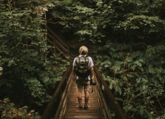 Top 5 Experiencias Viajeras que Cambian la Vida »