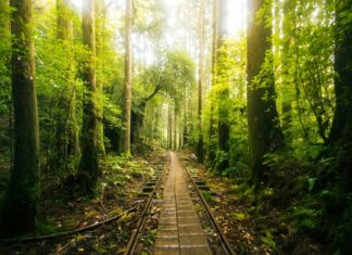 Los 6 Secretos Mejor Guardados del Turismo Mundial »