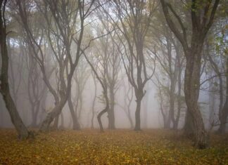 5 Lugares Tan Raros que Te Harán Dudar del GPS »