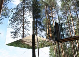 ¿Dónde Pasar una Noche en una Casa del Árbol de Lujo para Dos? »