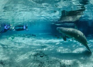 ¿Cuáles son los 7 Destinos Subestimados para el Verano 2025? »