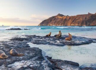 5 Lugares para Encuentros Increíbles con la Vida Salvaje »