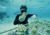 5 Lugares para Explorar Maravillas Bajo el Agua o Sobre las Olas »