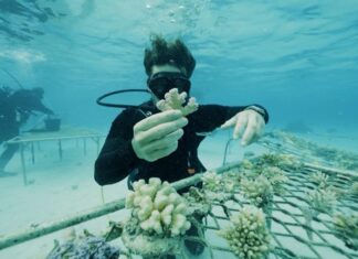 5 Lugares para Explorar Maravillas Bajo el Agua o Sobre las Olas »