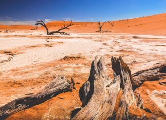 Países Donde el Verano es una Temporada Interminable »