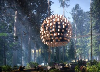 ¿Cuáles son las mejores casas del arbol del mundo? »