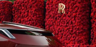 ¿Cuáles son los autos más extravagantes que valen la pena conocer? »