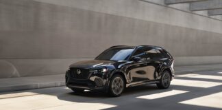 Los 5 SUVs con la mejor visibilidad 360 para maniobras perfectas »