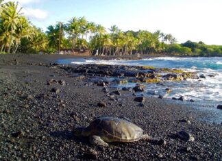 ¿Cuáles son las 5 islas volcánicas con playas negras que parecen de otro planeta? »