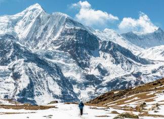 ¿Cuáles son los mejores senderos de trekking con programas de reforestación para viajeros responsables? »
