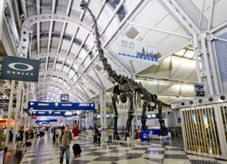 Los 5 aeropuertos que debes evitar en esta época del año »