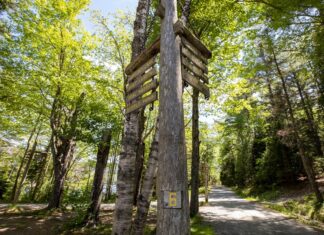 Los 5 parques nacionales con las rutas de ciclismo más seguras y señalizadas »