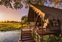 Los 5 destinos de safari de lujo con las mejores lodges sostenibles »