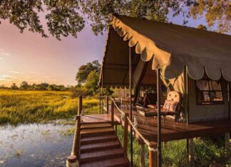 Los 5 destinos de safari de lujo con las mejores lodges sostenibles »