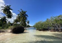 Las 5 mejores playas del Caribe para el 2026 que todavía no están masificadas »