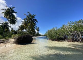 Las 5 mejores playas del Caribe para el 2026 que todavía no están masificadas »