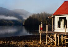 Los 5 alojamientos más inmersivos del mundo para conectar directamente con la naturaleza »