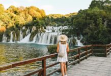 Las 5 experiencias de naturaleza más impactantes del 2026 sin ser experto »